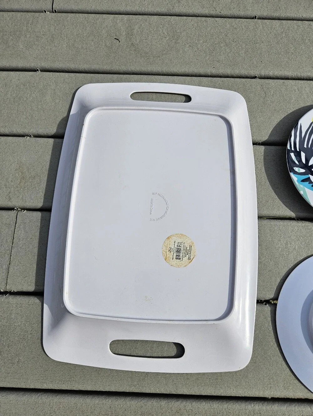 Tropical Jungle Monstera Palm Dinner Plates 9